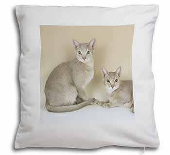 Abyssynian Cats Soft White Velvet Feel Scatter Cushion