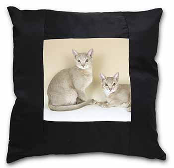Abyssynian Cats Black Satin Feel Scatter Cushion