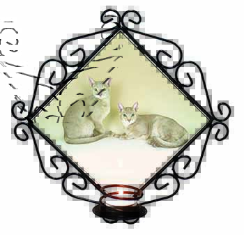 Abyssynian Cats Wrought Iron Wall Art Candle Holder