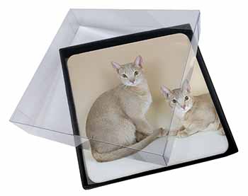 4x Abyssynian Cats Picture Table Coasters Set in Gift Box