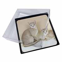 4x Abyssynian Cats Picture Table Coasters Set in Gift Box