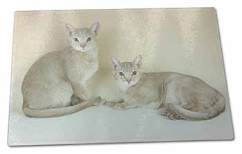 Large Glass Cutting Chopping Board Abyssynian Cats