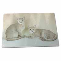 Large Glass Cutting Chopping Board Abyssynian Cats