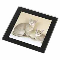 Abyssynian Cats Black Rim High Quality Glass Coaster