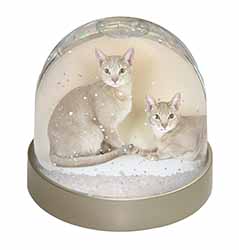 Abyssynian Cats Snow Globe Photo Waterball