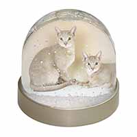 Abyssynian Cats Snow Globe Photo Waterball