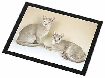 Abyssynian Cats Black Rim High Quality Glass Placemat