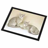 Abyssynian Cats Black Rim High Quality Glass Placemat