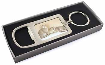 Abyssynian Cats Chrome Metal Bottle Opener Keyring in Box