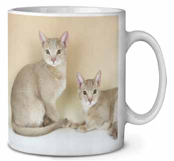 Abyssynian Cats Ceramic 10oz Coffee Mug/Tea Cup