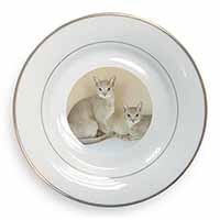 Abyssynian Cats Gold Rim Plate Printed Full Colour in Gift Box