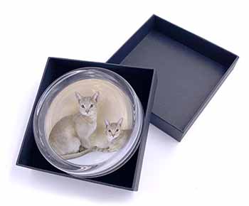 Abyssynian Cats Glass Paperweight in Gift Box