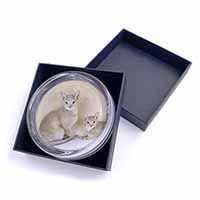 Abyssynian Cats Glass Paperweight in Gift Box