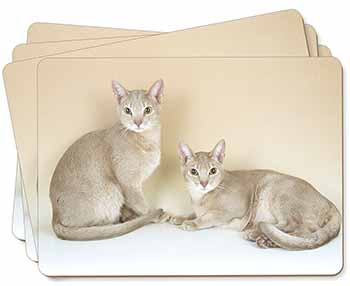 Abyssynian Cats Picture Placemats in Gift Box