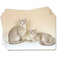 Abyssynian Cats Picture Placemats in Gift Box