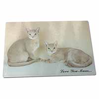 Large Glass Cutting Chopping Board Abyssynian Cats 