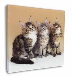 Cute Maine Coon Kittens Square Canvas 12"x12" Wall Art Picture Print