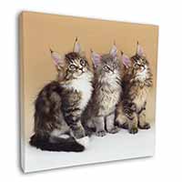 Cute Maine Coon Kittens Square Canvas 12"x12" Wall Art Picture Print