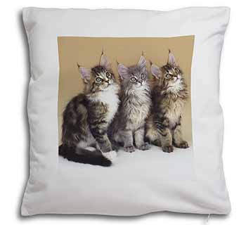 Cute Maine Coon Kittens Soft White Velvet Feel Scatter Cushion