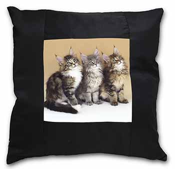 Cute Maine Coon Kittens Black Satin Feel Scatter Cushion