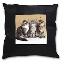 Cute Maine Coon Kittens Black Satin Feel Scatter Cushion