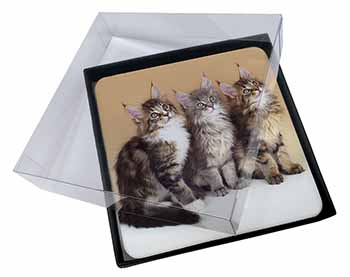 4x Cute Maine Coon Kittens Picture Table Coasters Set in Gift Box