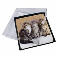 4x Cute Maine Coon Kittens Picture Table Coasters Set in Gift Box