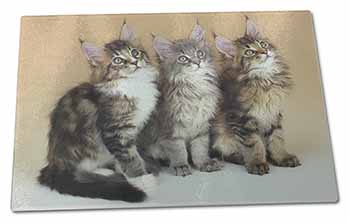 Large Glass Cutting Chopping Board Cute Maine Coon Kittens