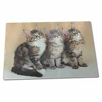 Large Glass Cutting Chopping Board Cute Maine Coon Kittens