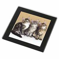 Cute Maine Coon Kittens Black Rim High Quality Glass Coaster