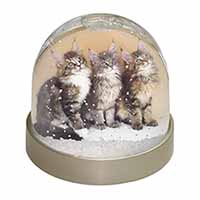 Cute Maine Coon Kittens Snow Globe Photo Waterball