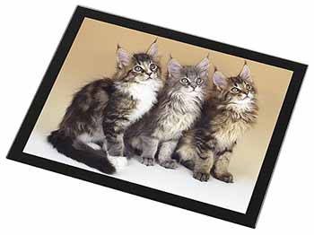 Cute Maine Coon Kittens Black Rim High Quality Glass Placemat
