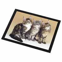 Cute Maine Coon Kittens Black Rim High Quality Glass Placemat