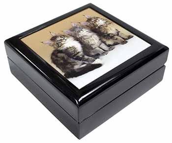 Cute Maine Coon Kittens Keepsake/Jewellery Box