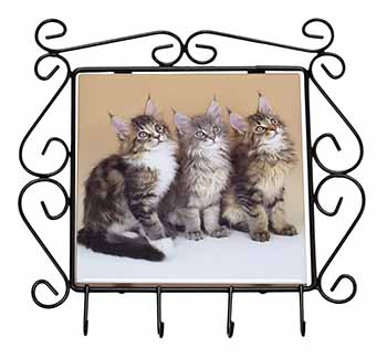 Cute Maine Coon Kittens Wrought Iron Key Holder Hooks