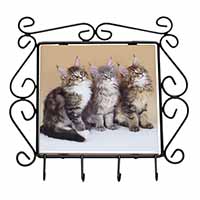 Cute Maine Coon Kittens Wrought Iron Key Holder Hooks