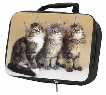 Cute Maine Coon Kittens Black Insulated School Lunch Box/Picnic Bag