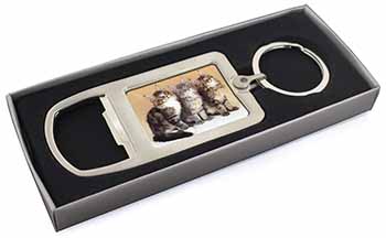 Cute Maine Coon Kittens Chrome Metal Bottle Opener Keyring in Box