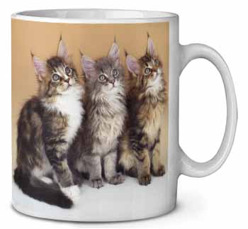 Cute Maine Coon Kittens Ceramic 10oz Coffee Mug/Tea Cup