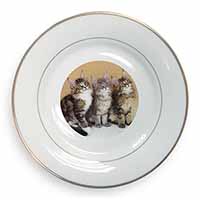 Cute Maine Coon Kittens Gold Rim Plate Printed Full Colour in Gift Box