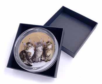 Cute Maine Coon Kittens Glass Paperweight in Gift Box