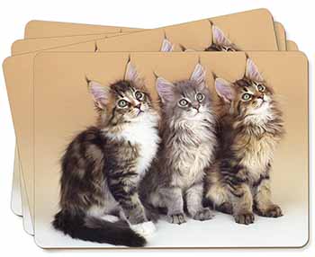 Cute Maine Coon Kittens Picture Placemats in Gift Box
