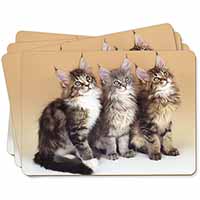 Cute Maine Coon Kittens Picture Placemats in Gift Box
