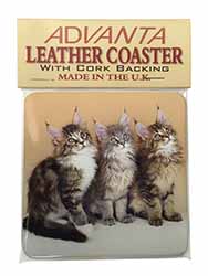 Cute Maine Coon Kittens Single Leather Photo Coaster