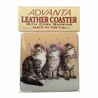 Cute Maine Coon Kittens Single Leather Photo Coaster