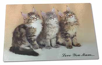 Large Glass Cutting Chopping Board Maine Coon Kittens 