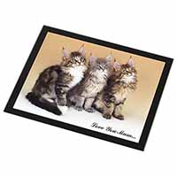 Maine Coon Kittens 