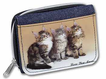 Maine Coon Kittens 