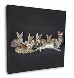 Bengal Kittens Posing for Camera Square Canvas 12"x12" Wall Art Picture Print