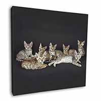 Bengal Kittens Posing for Camera Square Canvas 12"x12" Wall Art Picture Print